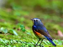 开云APP-?7s6`?磬E訤?FT欷矚轃鯁暐^溵?j"D鸲胓痈G脧??Ｒ